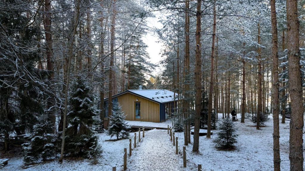 Как провести незабываемое путешествие в Новгородской области